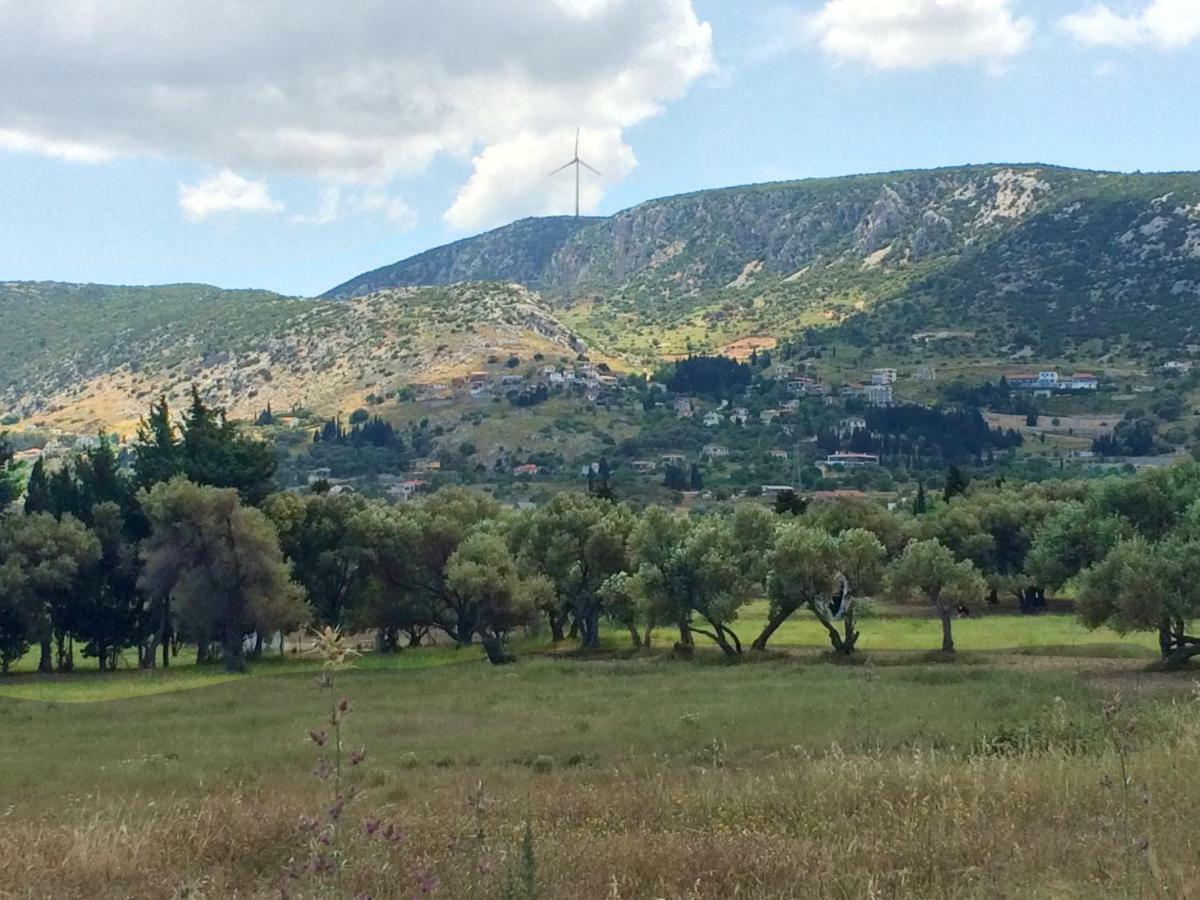 Zeytinli Konak Bed and Breakfast İzmir Buitenkant foto